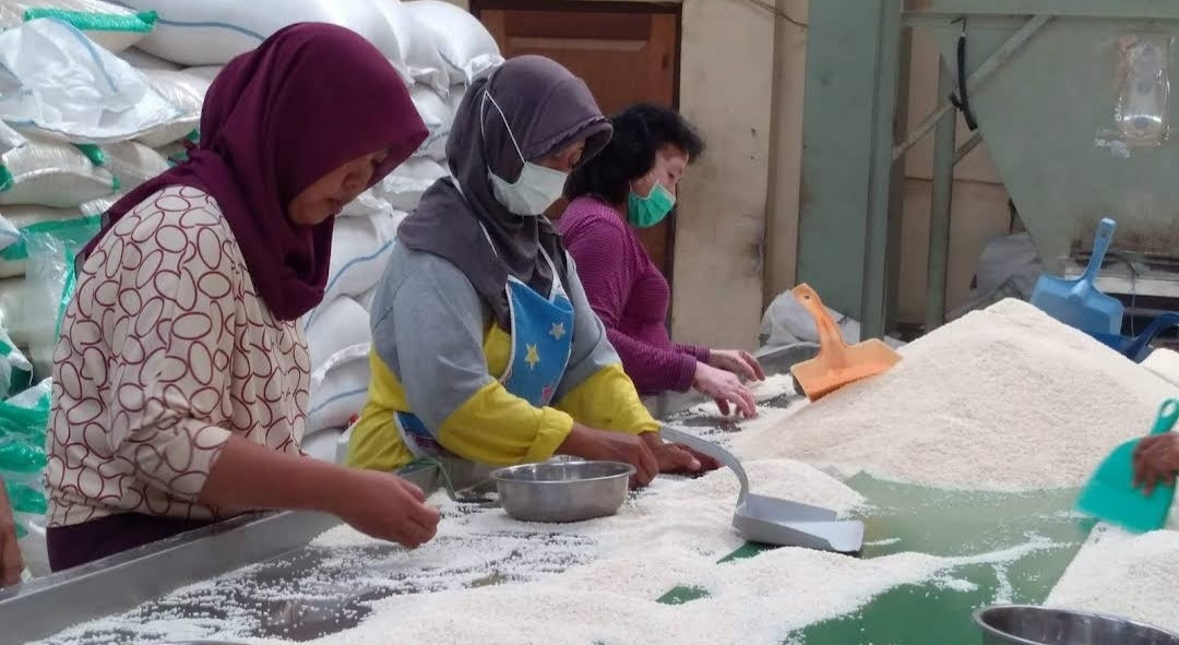 Gapoktan Sidomulyo, Gabungan Kelompok Tani Percontohan di Indonesia