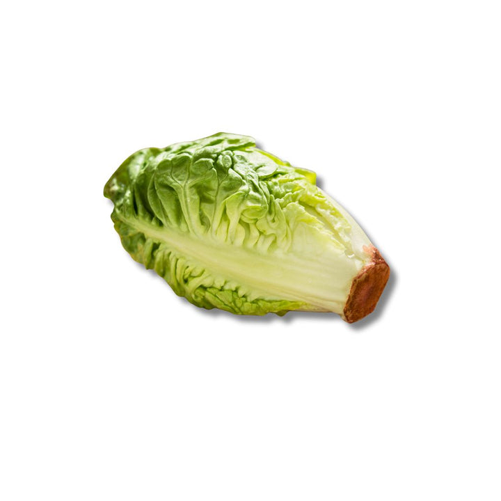 Selada Cos