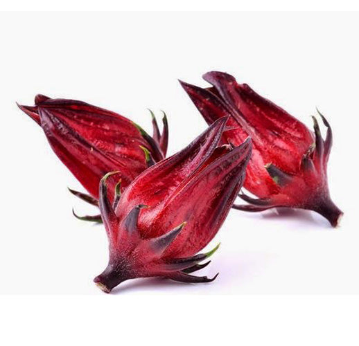 Rosella