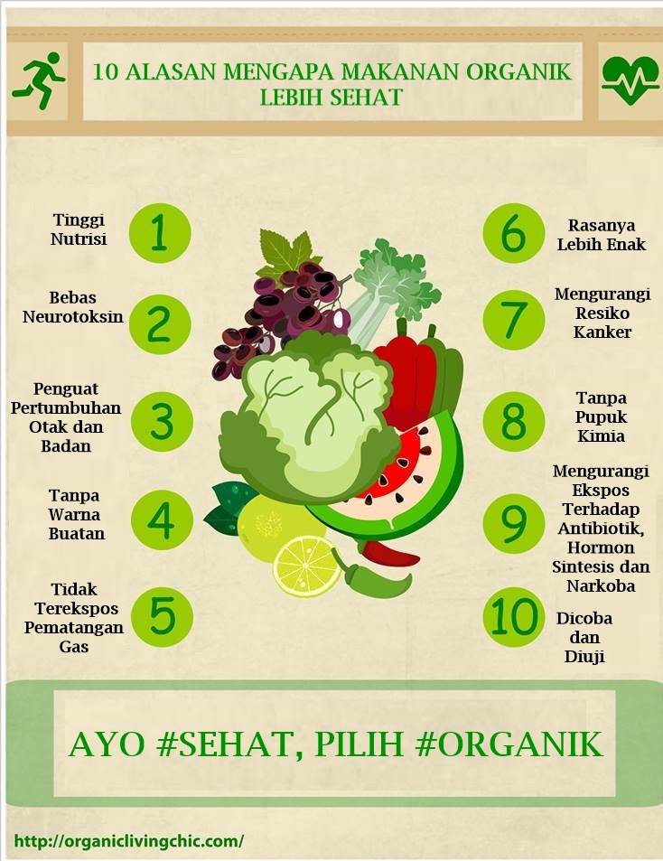 Manfaat Mengolah Dan Mengkonsumsi Makanan Organik - Blog Kecipir