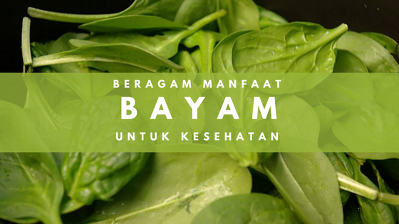 BERAGAM MANFAAT BAYAM UNTUK KESEHATAN - Blog Kecipir