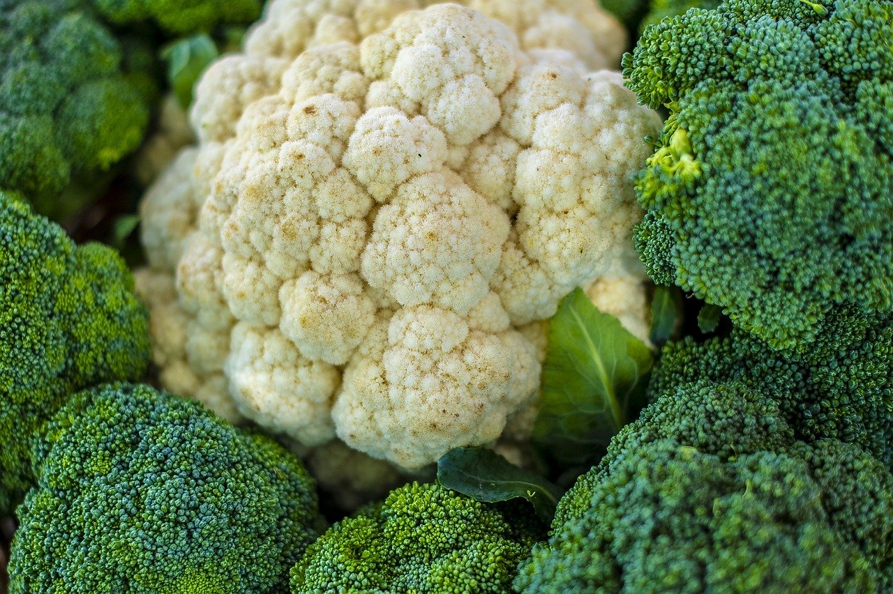  Brokoli  Hijau VS Brokoli Putih  Berikut Perbedaannya 