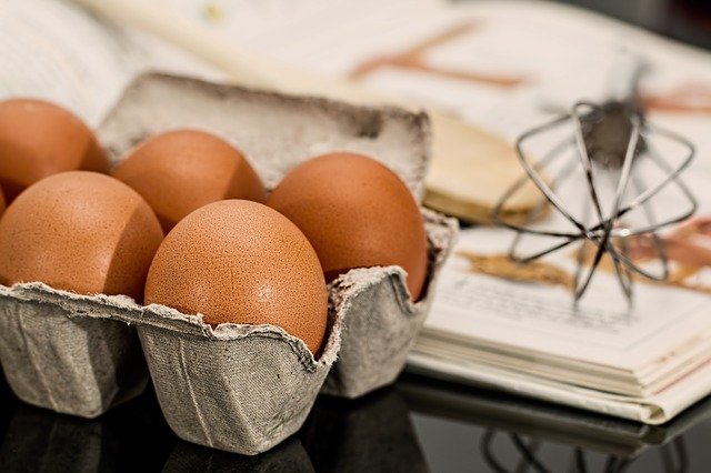 Harga telur organik