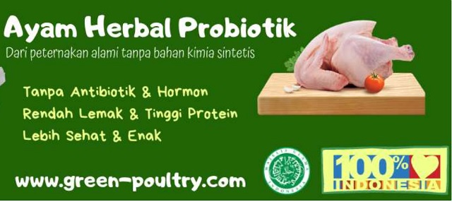 ayam probiotik green poultry