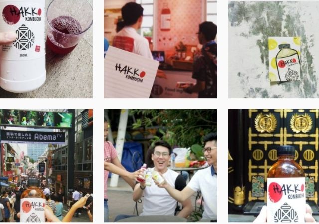 “Hakko Kombucha” Produk Fermentasi dari Tiga Mahasiswa