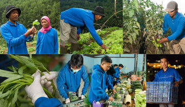 Masada Organic Farm, Wujudkan Agroekosistem Lestari & Berkelanjutan