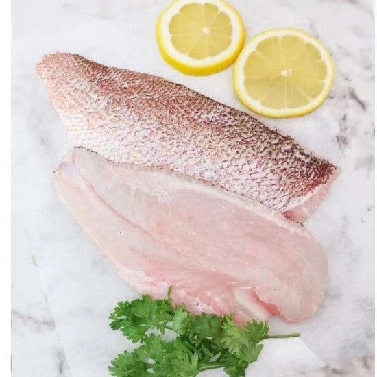 Ikan Kakap Merah Fillet Pojur