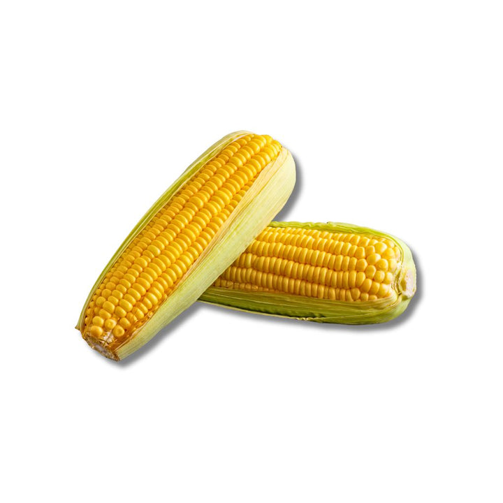 Jagung Manis M