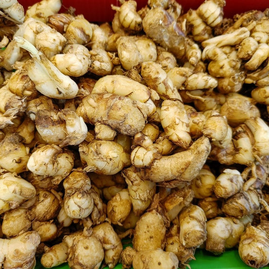 Jamu Beras Kencur