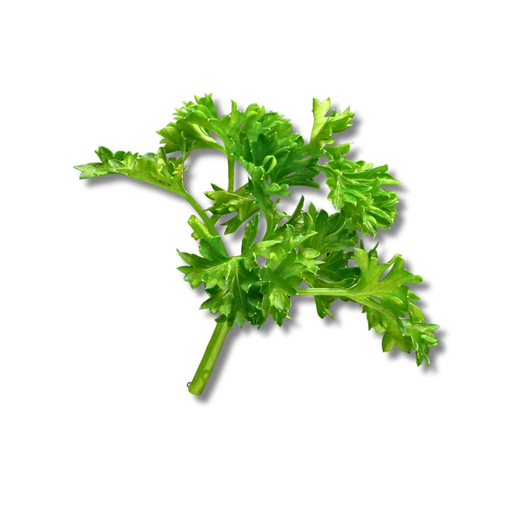Parsley
