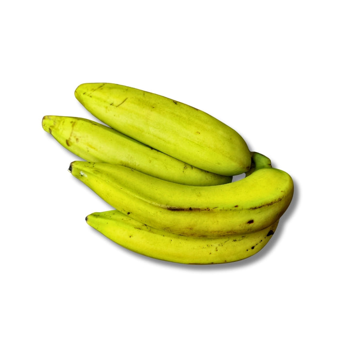 Pisang Ambon Lumut
