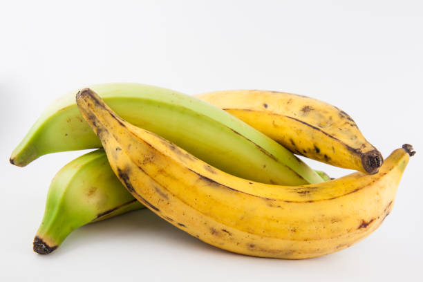 Pisang Tanduk