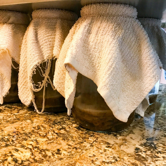Kombucha Parasheyhat Kayu Manis