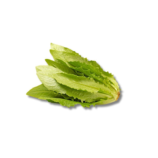Selada Siomak