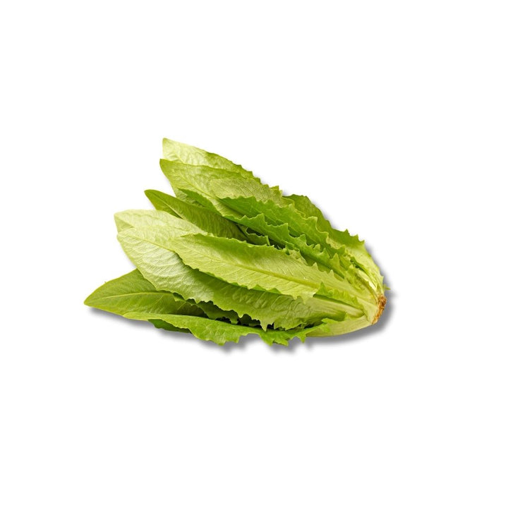Selada Siomak