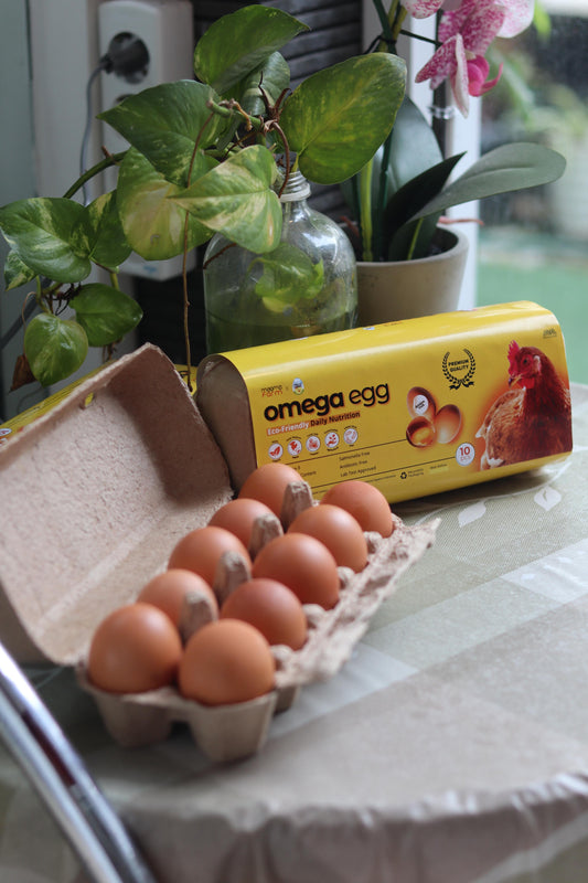 Magma Omega Egg