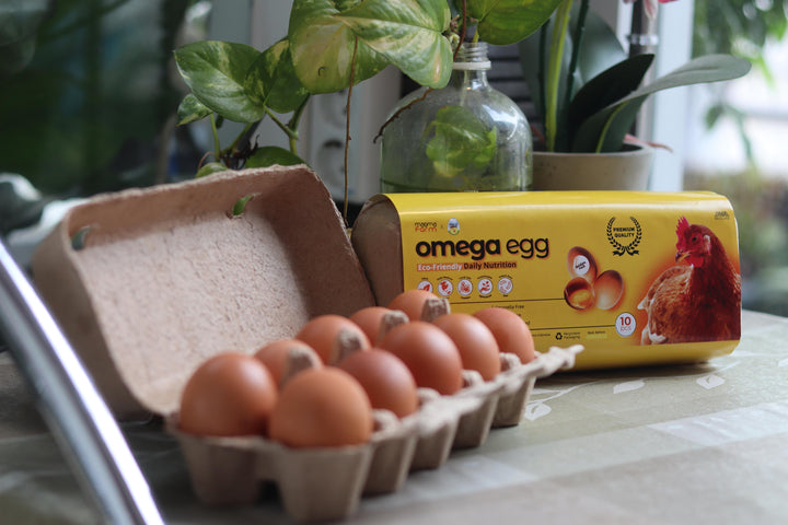 Magma Omega Egg