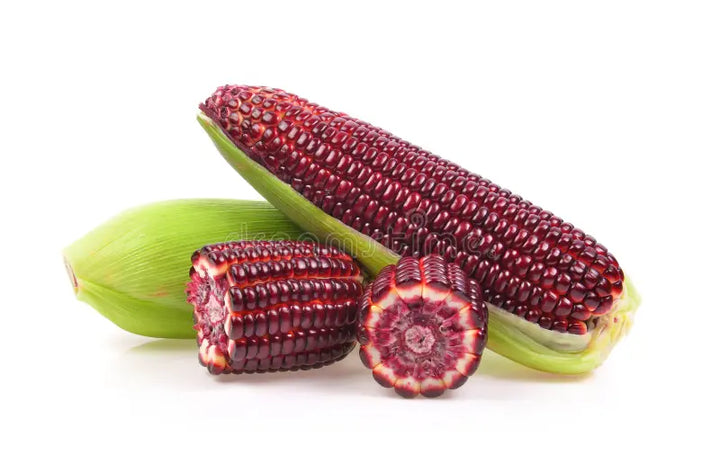 Jagung Ketan Ungu