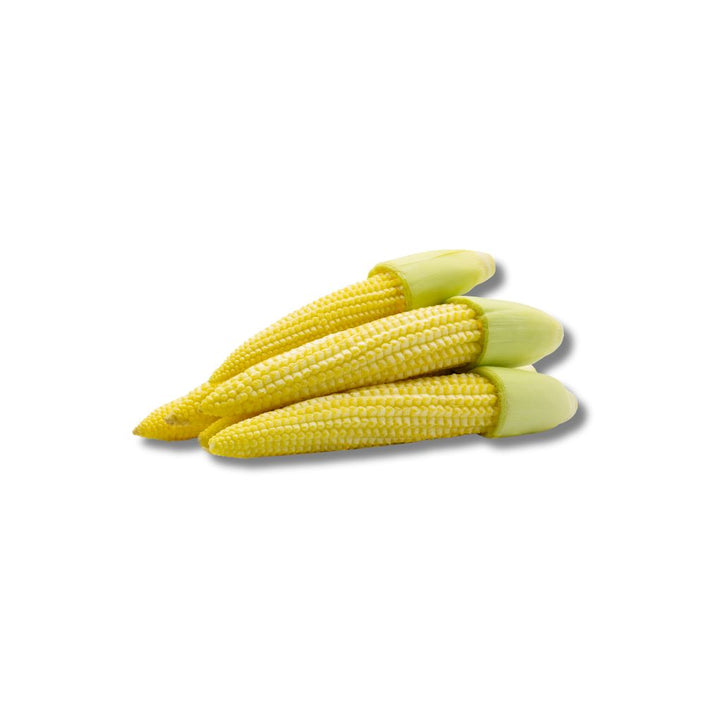 Jagung Baby