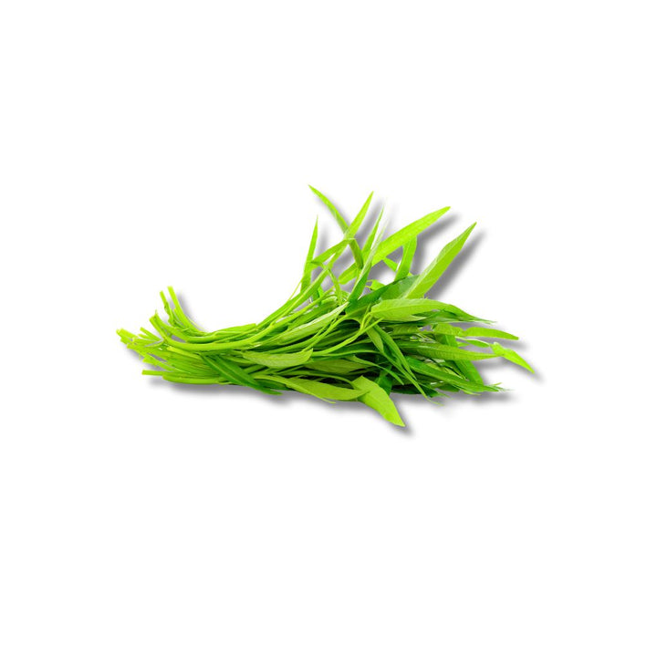 Kangkung