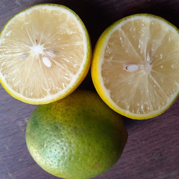 Lemon California Lokal