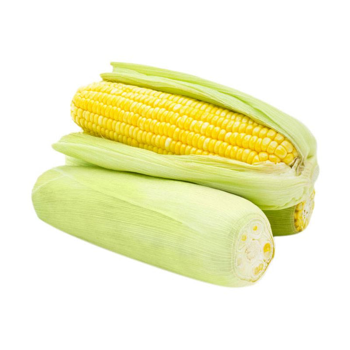 Jagung Manis Kulit