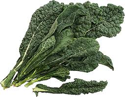 Kale Toscana
