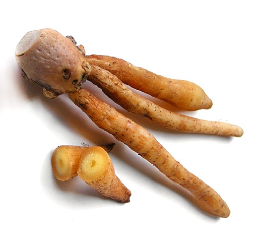 Temu Kunci